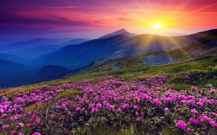 Alpine Sunrise Bugyal Tour